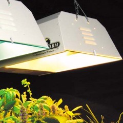 Which lamps are best suited for growing plants?