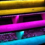 LED RGB en la calle