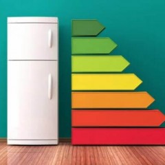 How much electricity does the refrigerator consume?