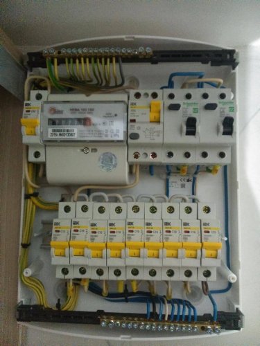 Electrical panel with electric meter